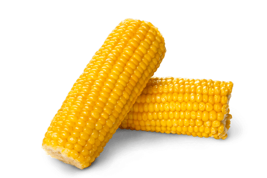 Sweet Corn Dozen