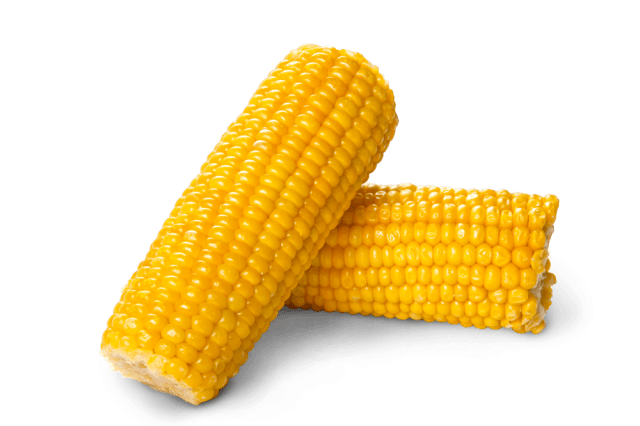 Sweet Corn Dozen