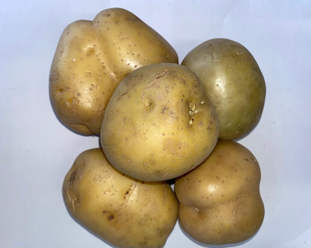 Potato per lbs